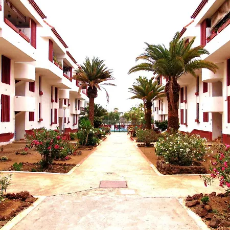 Altemar In Americas *