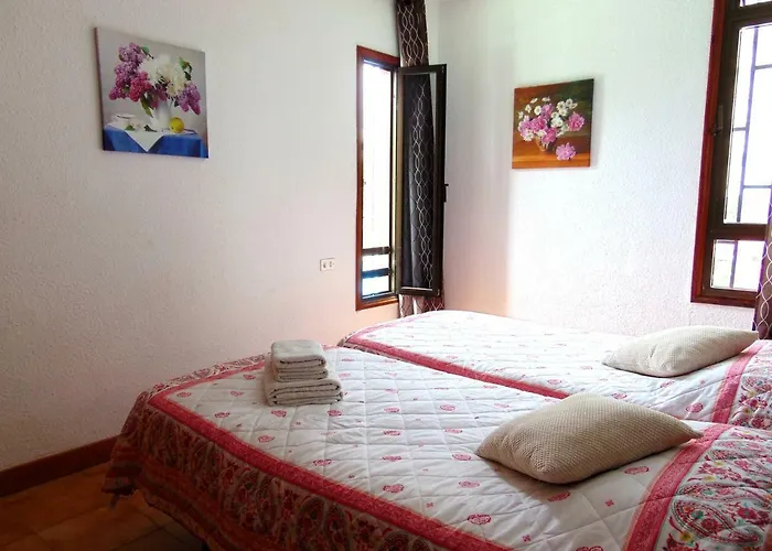 Altemar In Americas *